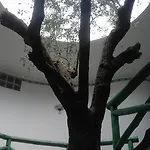 Sirio Hotel 3*