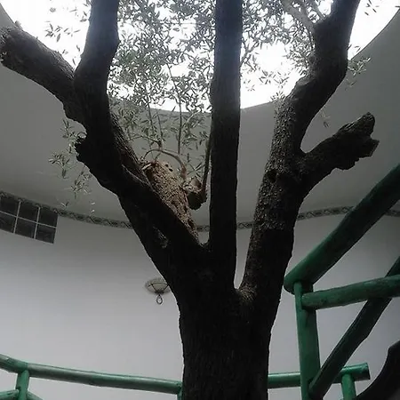 Sirio Hotel 3*